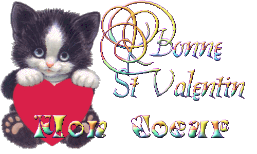 bonne sante valentin mon coeur