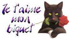 je taime mon biquet