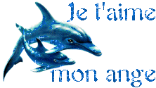 je t'aime mon ange